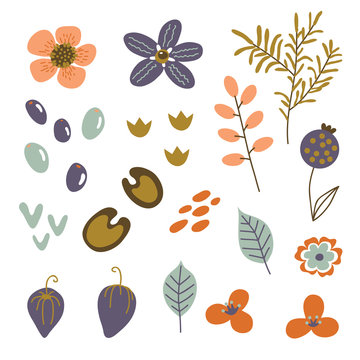 Vector set of hand drawn abstract flowers and plants