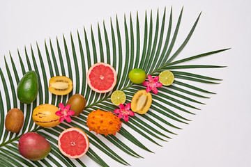 Tropical Palm Leaf and Fresh Fruits. Summer set. Nature green Layout. Colorful Design. Creative Art. Healthy Food concept. Bright Summer background. Flat lay.