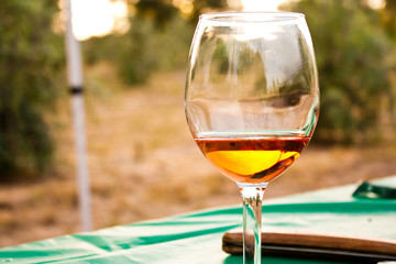 Glass of Wine on Table