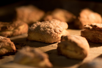 Cookies with cottage cheese and sugar, baked inside the oven