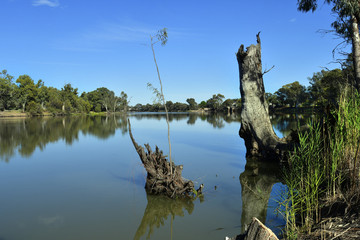 Australia, NSW, Murray River