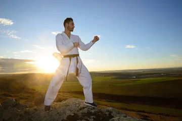 Peel and stick wall murals Martial arts Specialist in martial arts making technical movements.