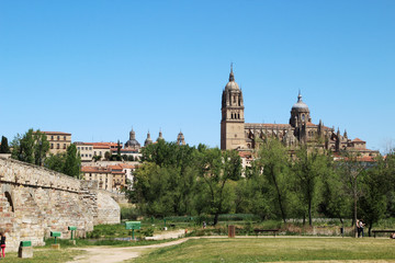 Fototapeta na wymiar New Cathedral and The Roman bridge of Salamanca, Spain 
