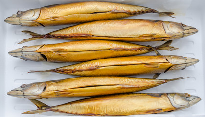 Makrele Makrelen geraucht geräuchert verdelt Scomber  scombrus