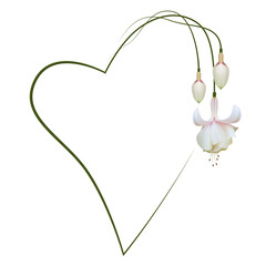 Realistic Fuchsia, heart frame. Symbol of creativity.