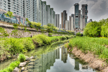 Fototapeta premium Der Cheong Gye Cheon