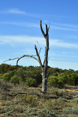 Australia, Mungo National Park