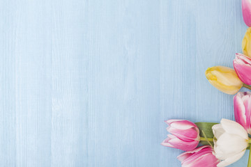 Spring Flower Background for Easter, Mother's Day and Love