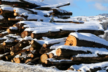 Stacked Logs, gestapelte Holzstämme