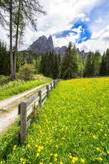 Landscape with field of dandelions and mountains