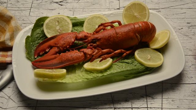 Homarus