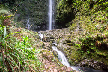 Waterfall on Levada Caldeirao Verde, Madeira, Portugal