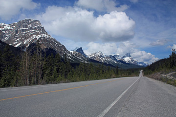 Naklejka premium Icefield Parkway, Kanada
