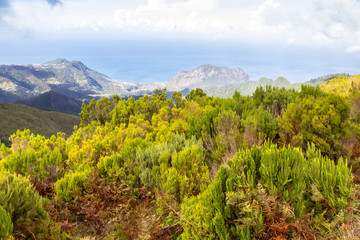Fototapeta na wymiar Panorama view of Madeira, Portugal