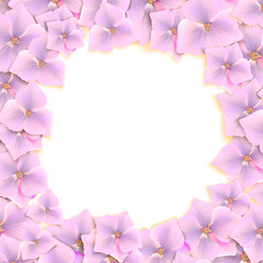 Frame of beautiful blue hydrangea on white background. Vector  illustration