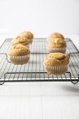 Homemade Whole Wheat Bran Muffin on Black Metal Cooling Rack. Breakfast Morning Healthy Pastry Baking Concept. Minimalist Style Copy Space