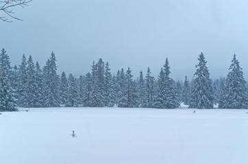 Scenic view of the winter landscape and an yellow bucket hanging on the railing
