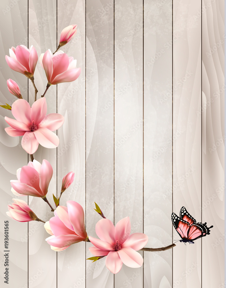 Poster nature spring background with beautiful magnolia branches on wooden sign. vector.