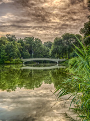Fototapeta premium Bow bridge Central Park