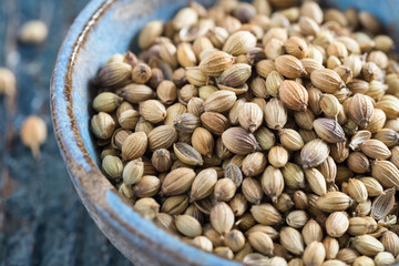 Coriander Seeds in a Bowl