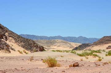 desert mountain multicolor of South Sinai, color canyon area, Egypt