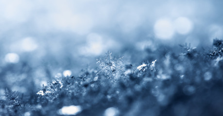 natural snowflakes on snow