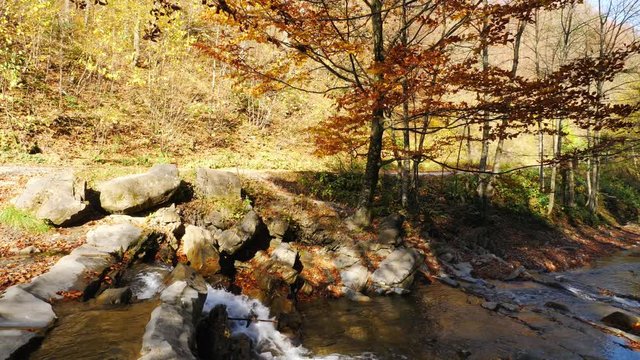 The mountain river with waterfall in autumn forest at amazing sunny day