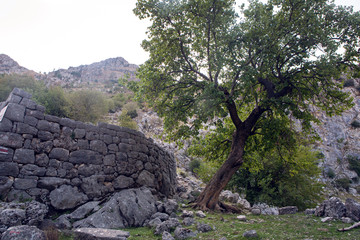 old stone fence in the mountains of Kotor