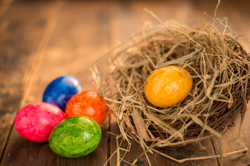 Bird nest with easter eggs