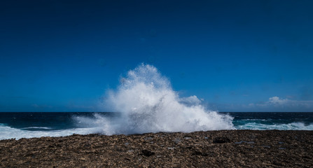Sea Curacao