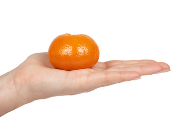 Ripe mandarin, citrus tangerine, orange in hand. Isolated on white background