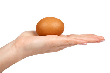 Brown chicken organic eggs in hand. Isolated on white background. Nutritious and protein reserve