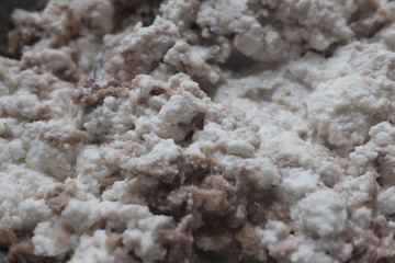 ricotta cheese and tuna