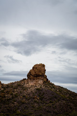 Boulder in the Sonoran desert.