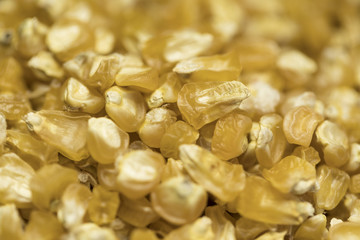 Dried corn seeds