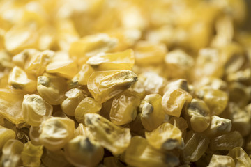 Dried corn seeds