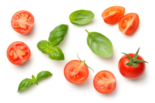 Tomatoes and Basil Leaves Isolated on White Background