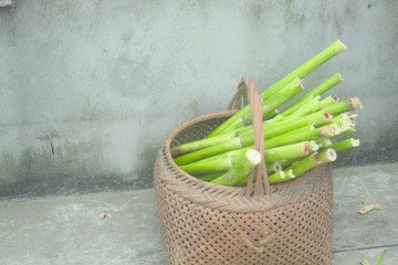 A basket of sugar canes from a farm in China