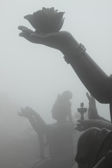 Buddha statue holding a lotus flower in the fog