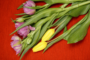 the inscription on March 8 with flowers on a red background