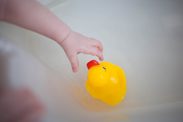 Rubber duck covered in soap