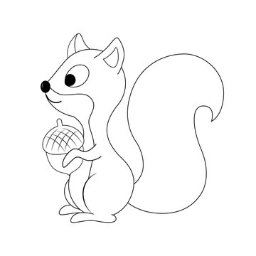Colorless  funny cartoon squirrel with nut in his hand. Vector i
