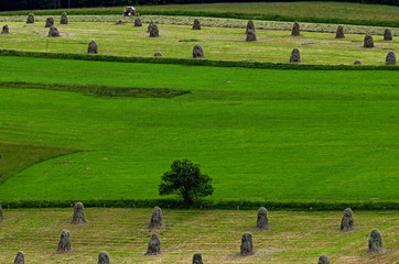 Sianokosy © piotrwolak