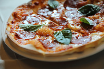 Hot Pepperoni Pizza in dish , Italian food