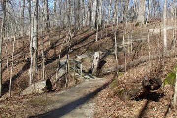 The wooden bridge down the hill in the forest landscape.