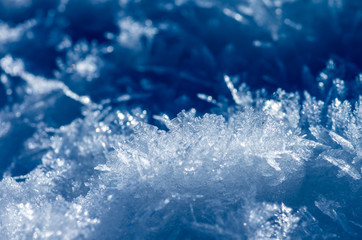 Ice crystals like jewellery in bright sunlight