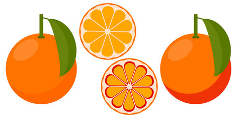 Vector orange and red bloody orange.  set of icons.