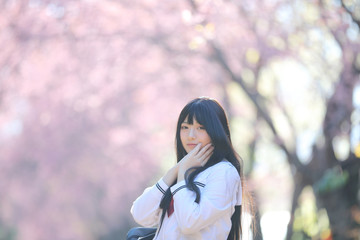 Japanese school girl dress with sakura flower nature walkway