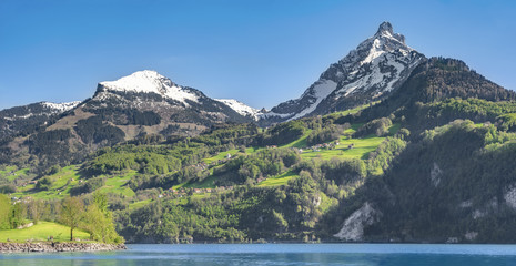 Swiss Alps mountains and lake on a sunny day - Spring panorama with the Alps mountains with snow-capped peaks, green meadows and forest, and the Walensee lake, in Quarten, Switzerland.
