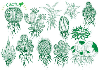 collection Hand draw cactus